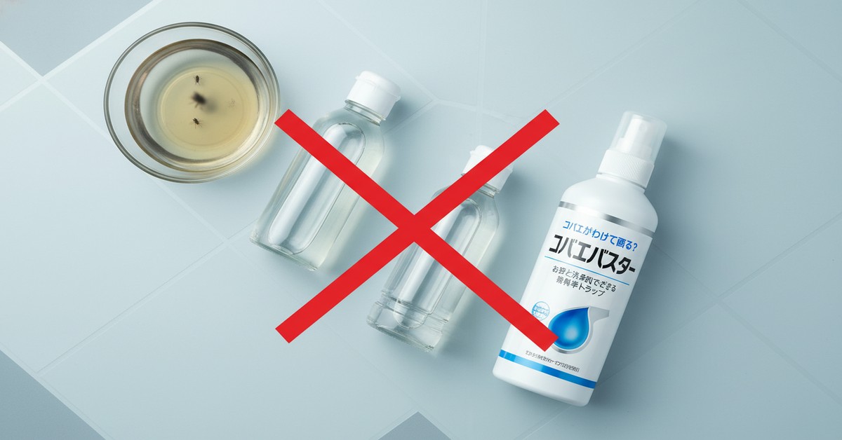 台所のコバエ対策：お酢と洗剤でできる安全で簡単なトラップ