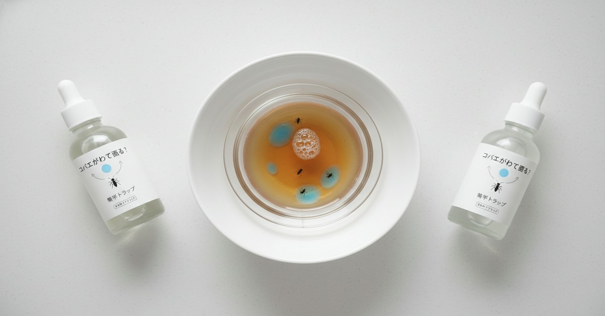 家庭でできるコバエ対策：お酢と洗剤で作る簡単トラップの効果的な使い方