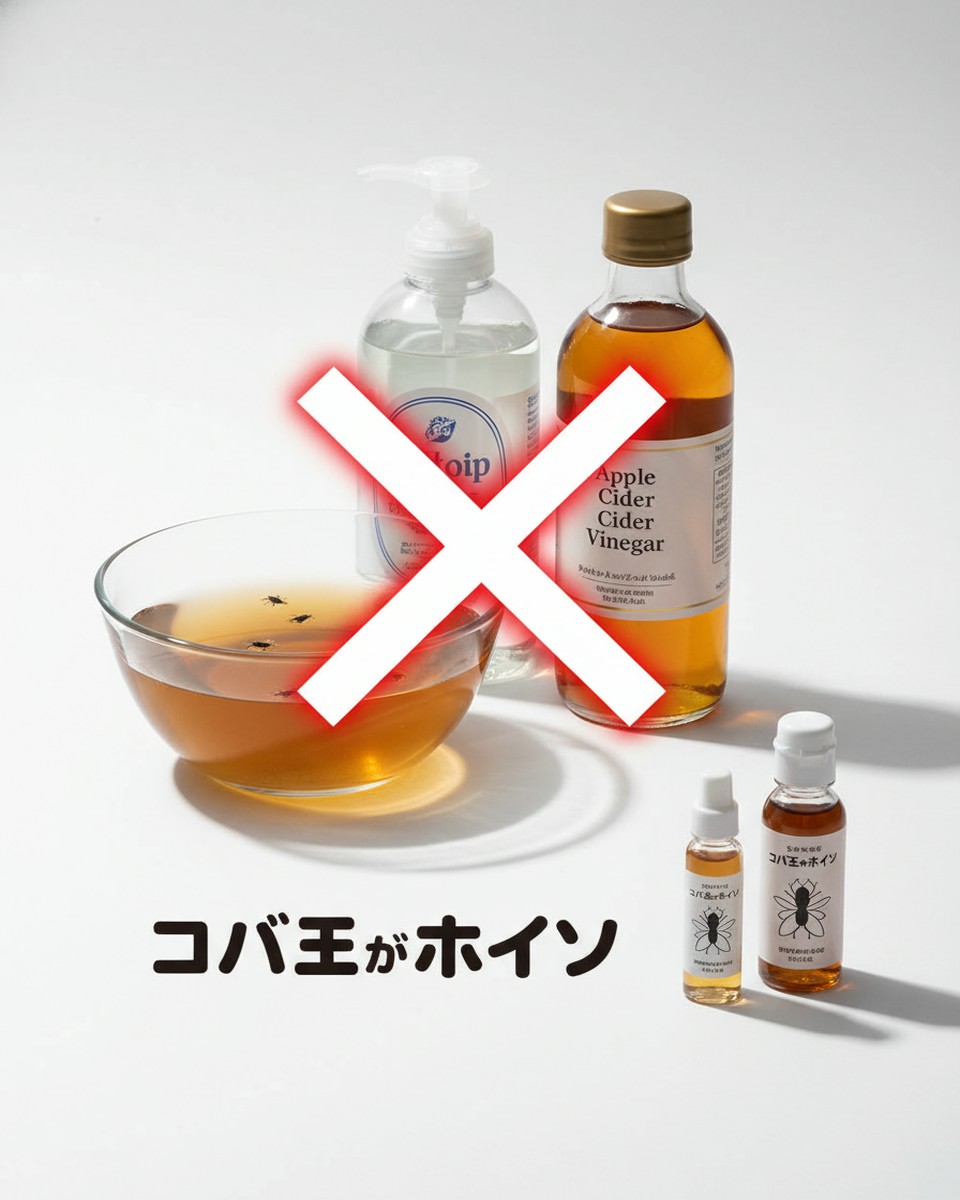 台所のコバエを効果的に駆除！お酢と洗剤でできる簡単トラップの作り方