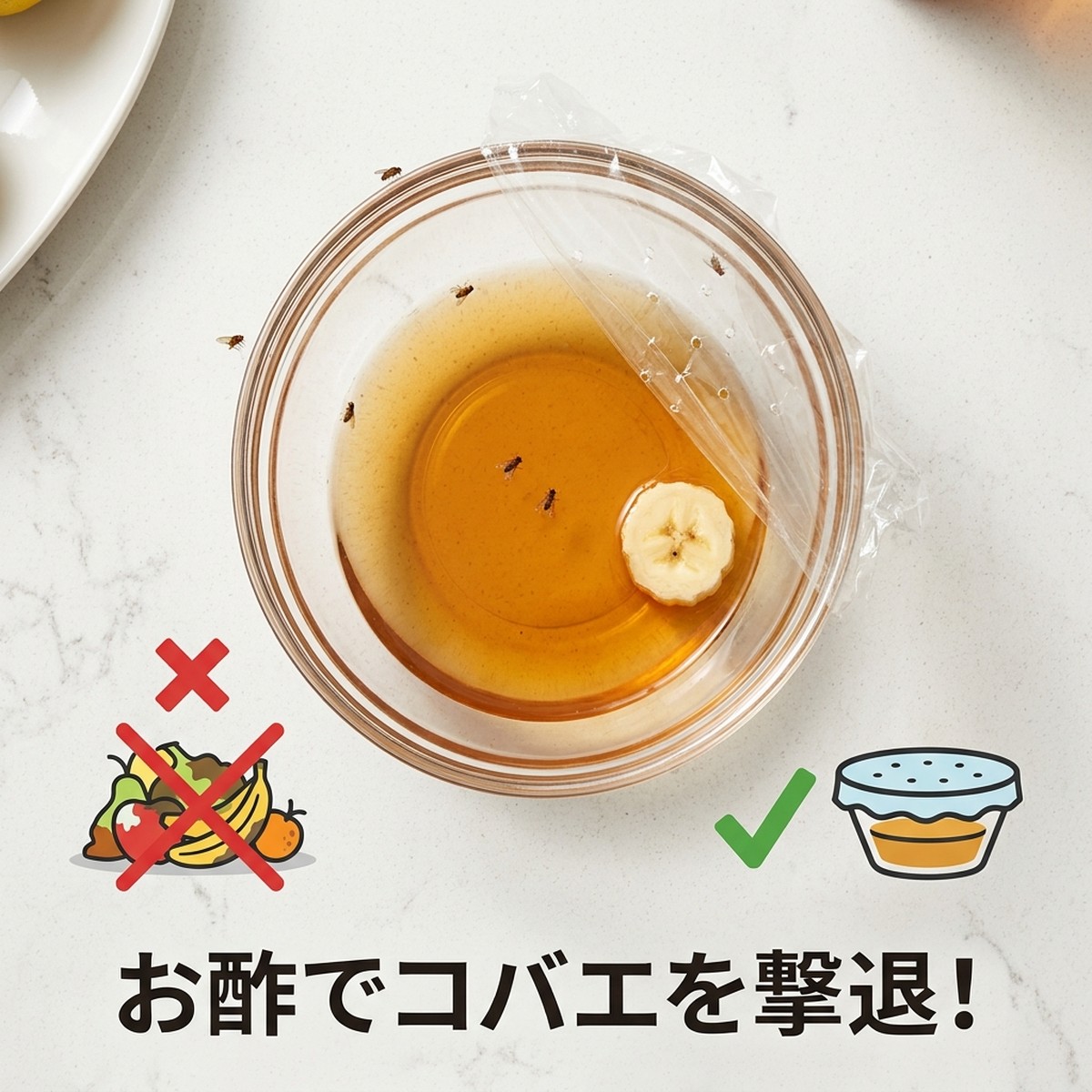 キッチンに飛ぶコバエ対策：お酢でできる簡単・確実な撃退法