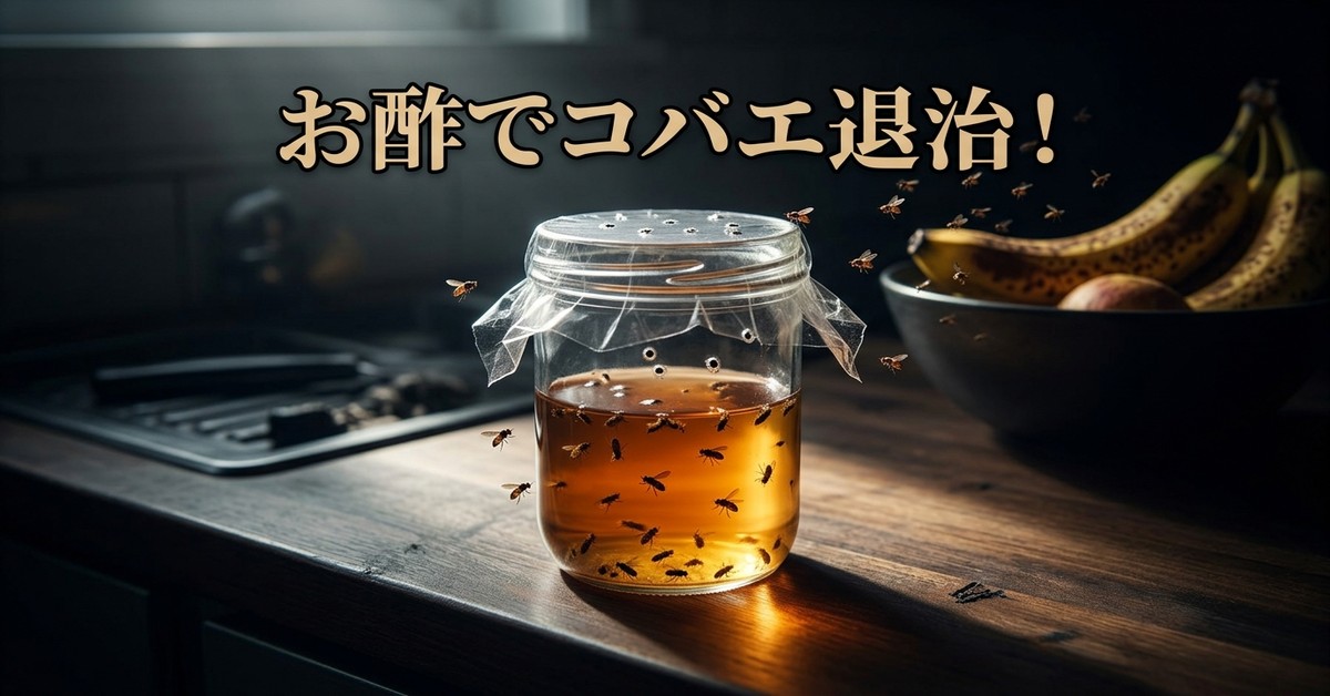 キッチンに飛ぶコバエ対策：お酢でできる簡単・確実な撃退法